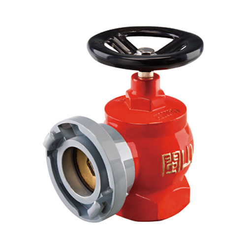 云顶集团(中国)股份有限公司