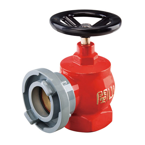 云顶集团(中国)股份有限公司