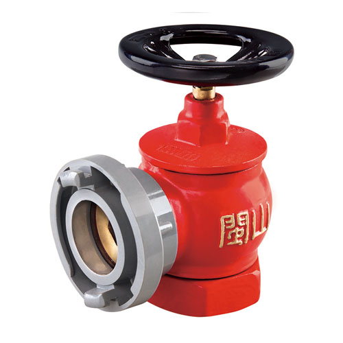 云顶集团(中国)股份有限公司