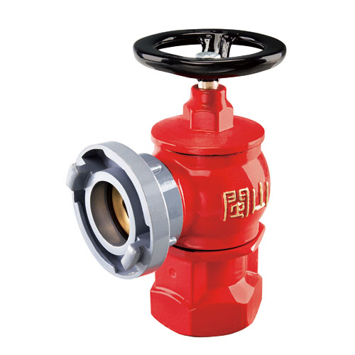 云顶集团(中国)股份有限公司