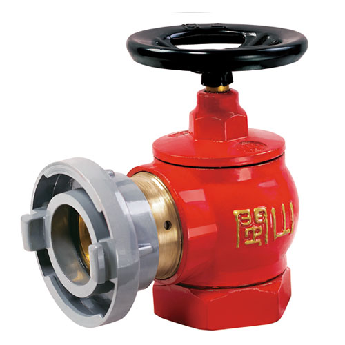 云顶集团(中国)股份有限公司