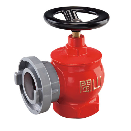 云顶集团(中国)股份有限公司