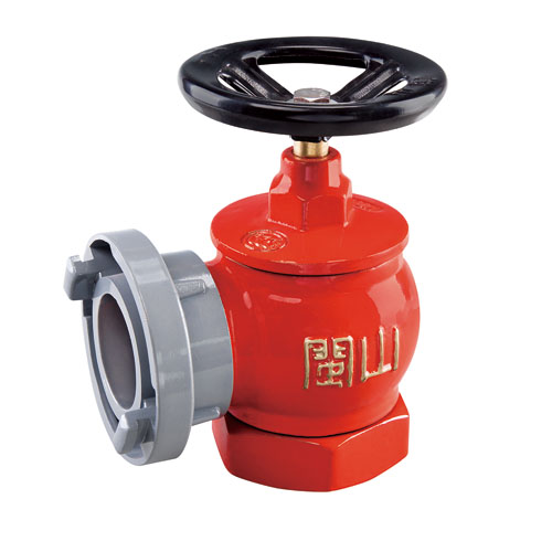 云顶集团(中国)股份有限公司