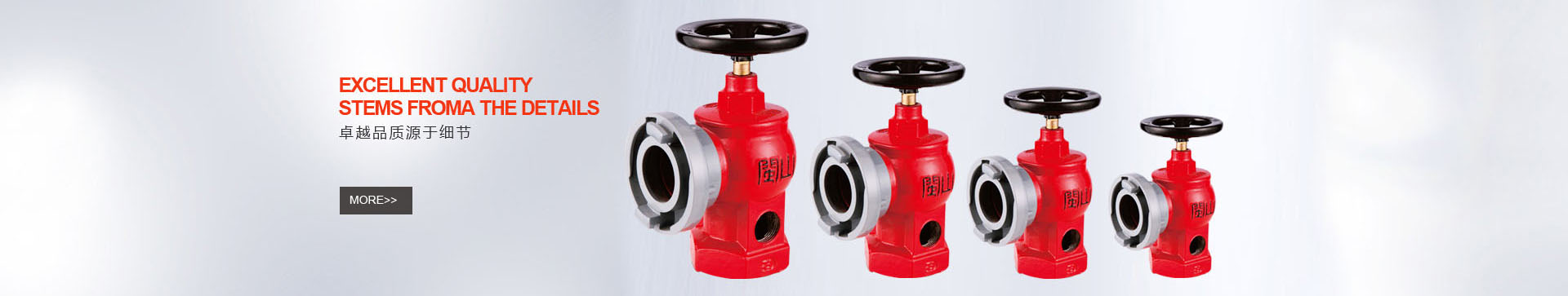 云顶集团(中国)股份有限公司