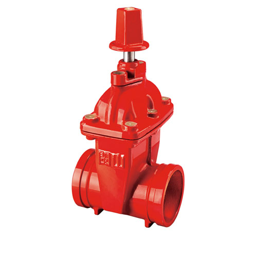 云顶集团(中国)股份有限公司