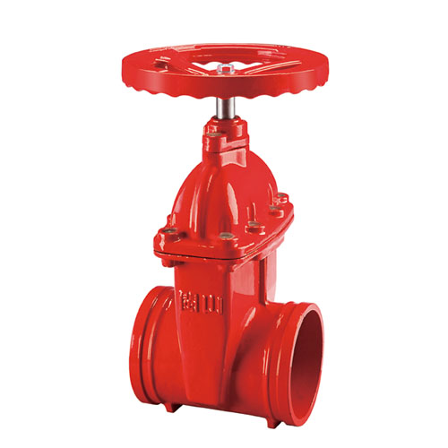 云顶集团(中国)股份有限公司